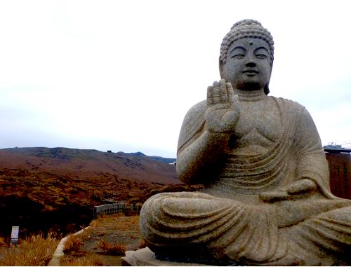 The Buddhas Trail
